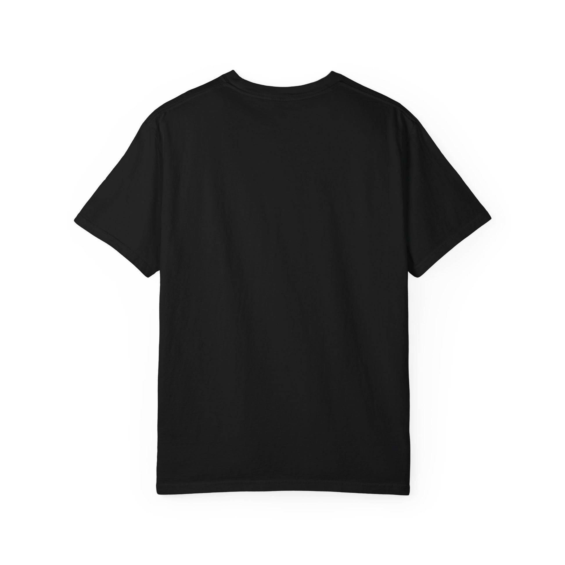Tech Pride T-Shirt, Empowering Tee for Tech Lovers, Gift for Programmers, Casual Wear, Affirmation Apparel
