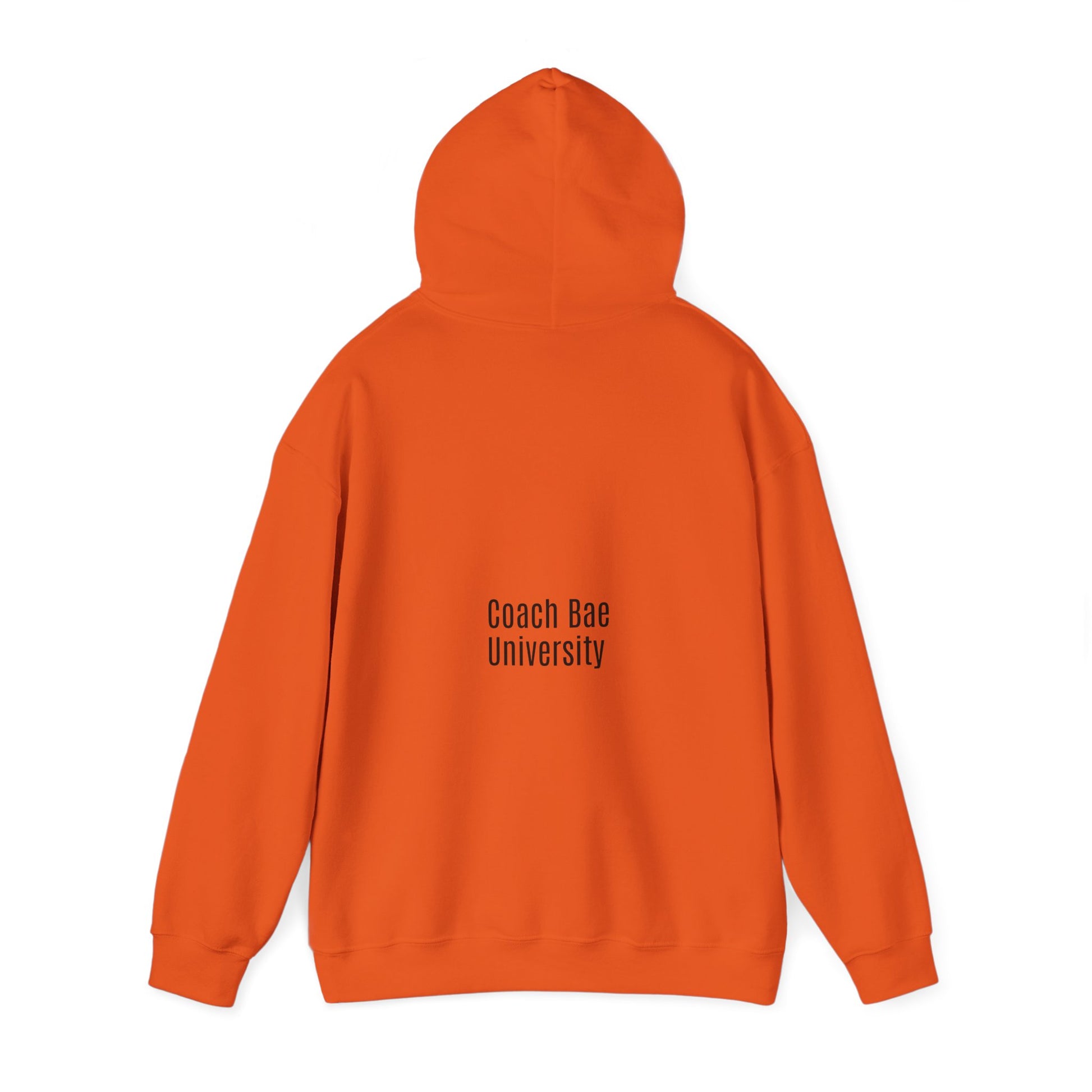 Urban Tech Hoodie - I Belong in Tech Merch