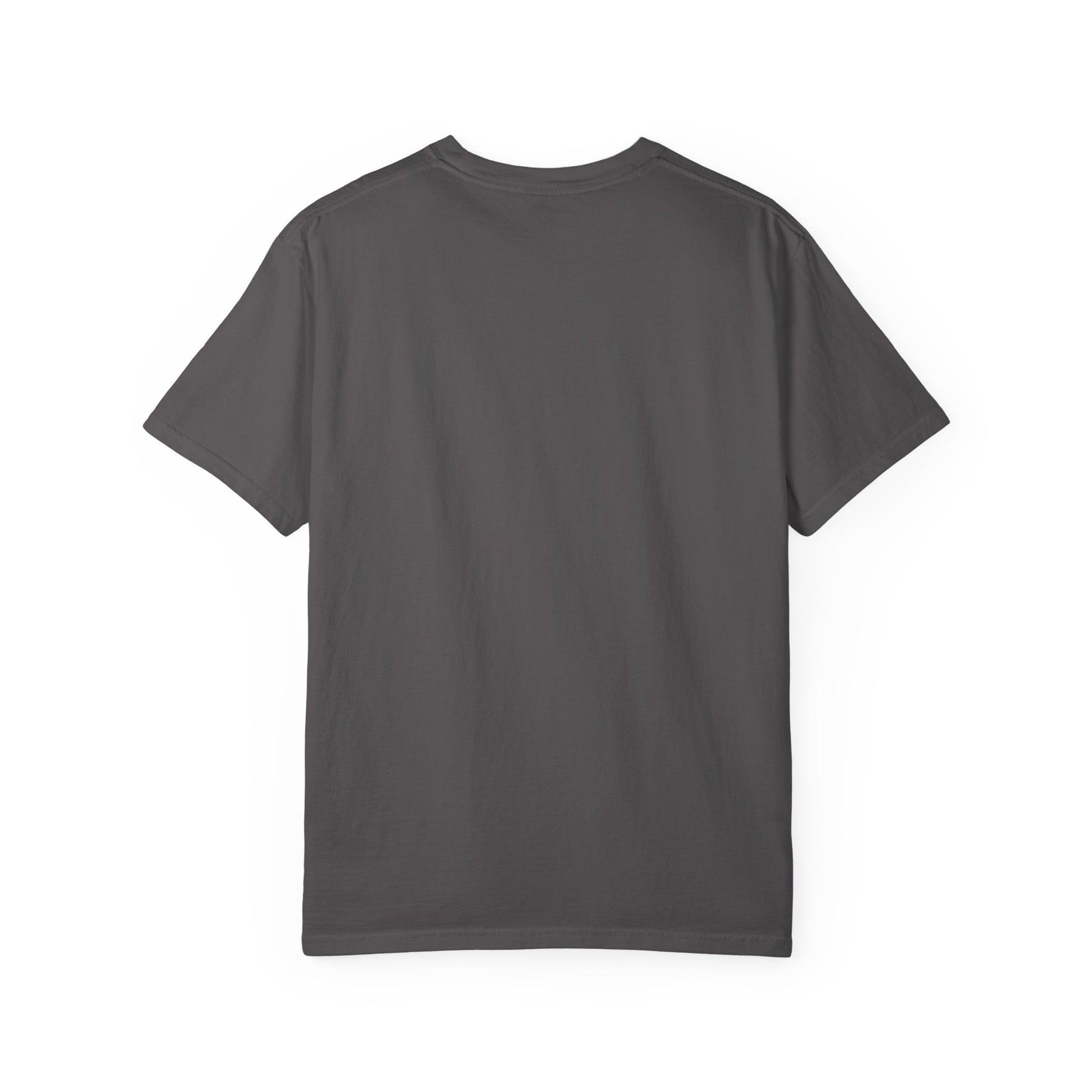 Tech Pride T-Shirt, Empowering Tee for Tech Lovers, Gift for Programmers, Casual Wear, Affirmation Apparel